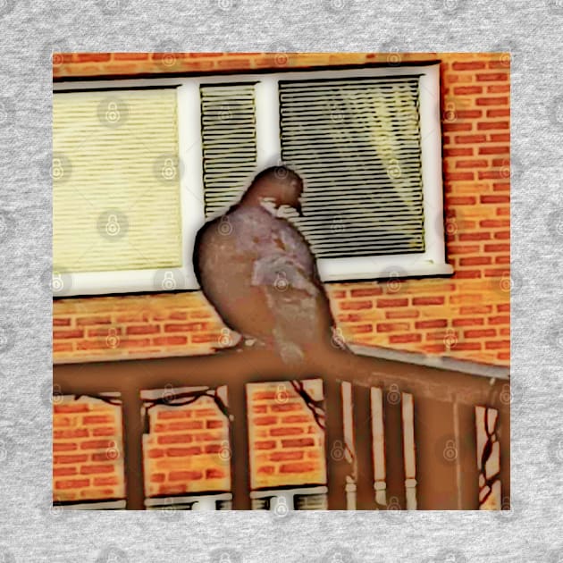 Pigeon on the Balcony by Alemway